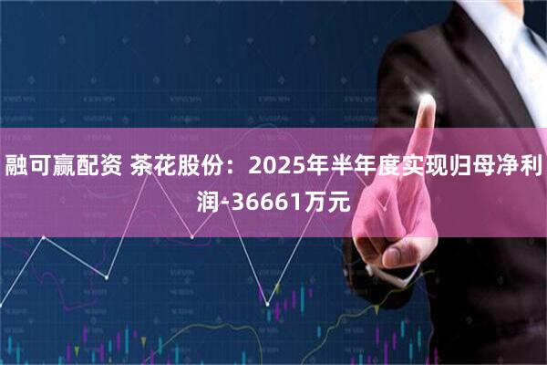 融可赢配资 茶花股份：2025年半年度实现归母净利润-36661万元